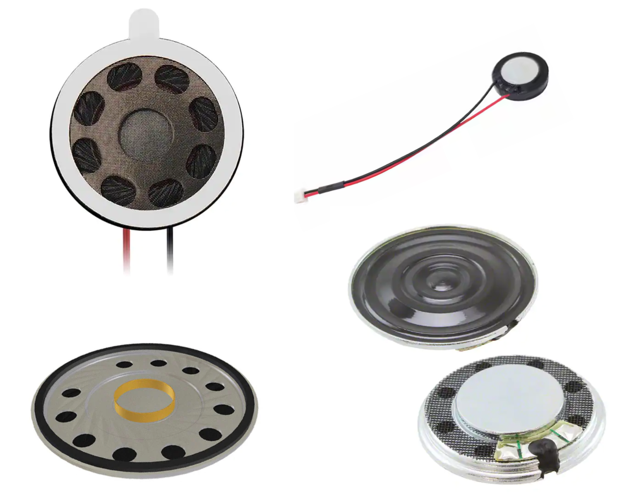 Speakers